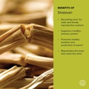 banyan-botanicals-shatavari-powder-organ-5.jpg