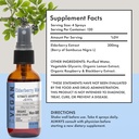 organic-elderberry-mist-sambucus-nigra-l-3.jpg