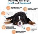 doggie-dailies-omega-3-salmon-oil-nutrie-4.jpg