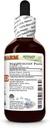 thyme-alcohol-free-extract-glycerite-for-2.jpg