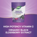 natures-way-sambucus-immune-lozenges-hig-5.jpg