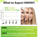 sublingual-nmnh-500mg-dihydronicotinamid-2.jpg