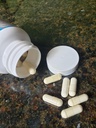 bobs-best-coral-calcium-supreme-i-100-pu-2.jpg