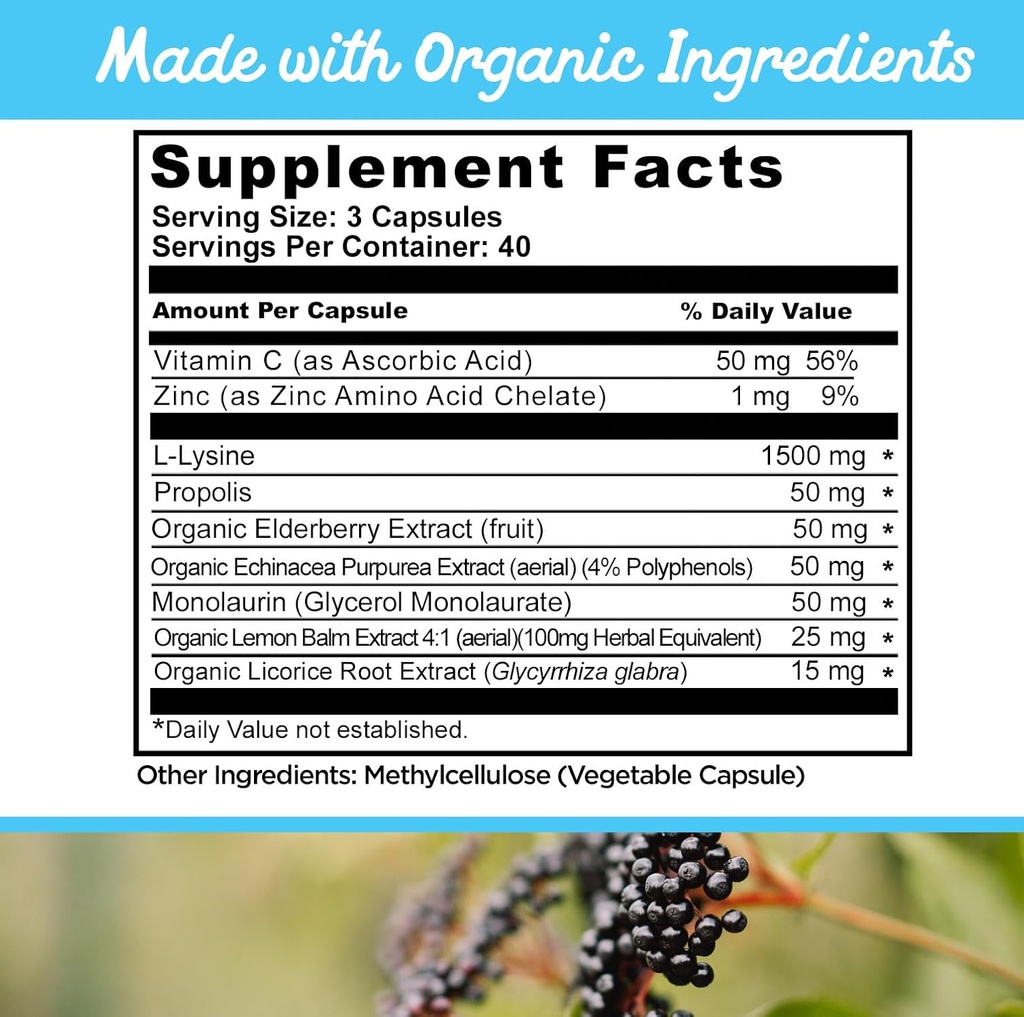 best-cold-sore-supplement-with-lysine-an-5.jpg