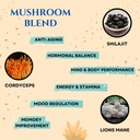brain-supplements-for-memory-focus---noo-6.jpg