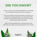 organixx-magnesium-glycinate-supplement--6.jpg