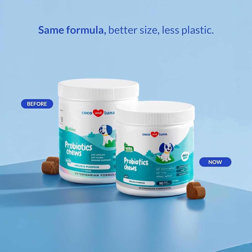 probiotics-for-dogs-digestive-health---s-2.jpg