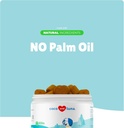 probiotics-for-dogs-digestive-health---s-4.jpg