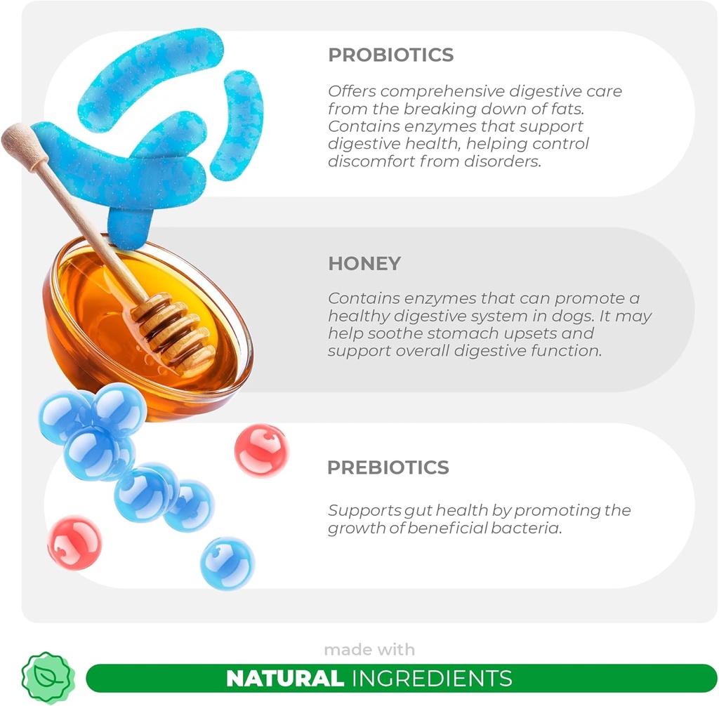 probiotics-for-dogs-digestive-health---s-5.jpg