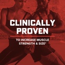 gnc-amp-wheybolic---chocolate-mint-25-se-5.jpg