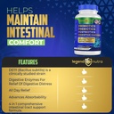 probiotics-prebiotics-postbiotics-digest-6.jpg