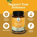 bundle-of-pure-quercetin-with-bromelain--4.jpg