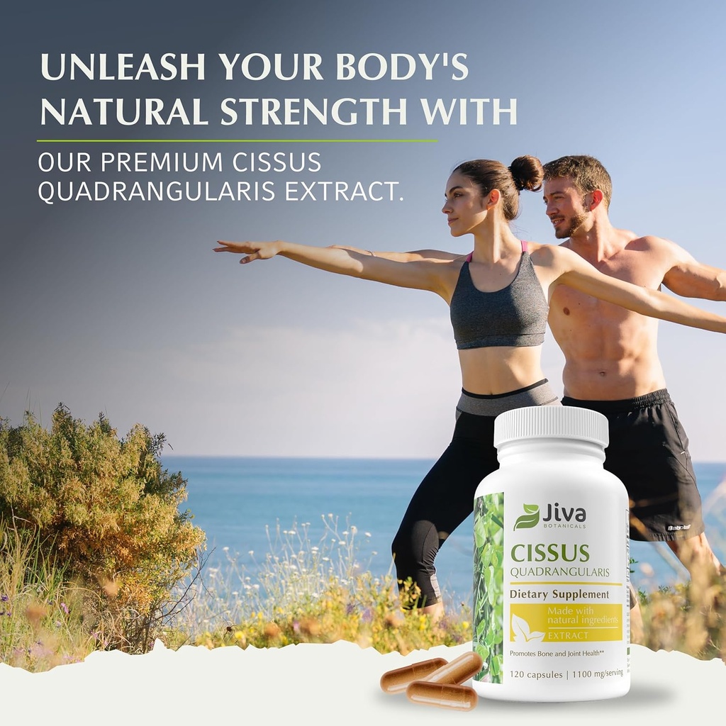 jiva-botanicals-cissus-quadrangularis-ca-4.jpg