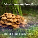 urban-moonshine-mothership-mushroom---he-2.jpg