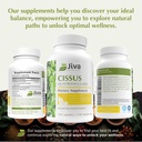 jiva-botanicals-cissus-quadrangularis-ca-5.jpg