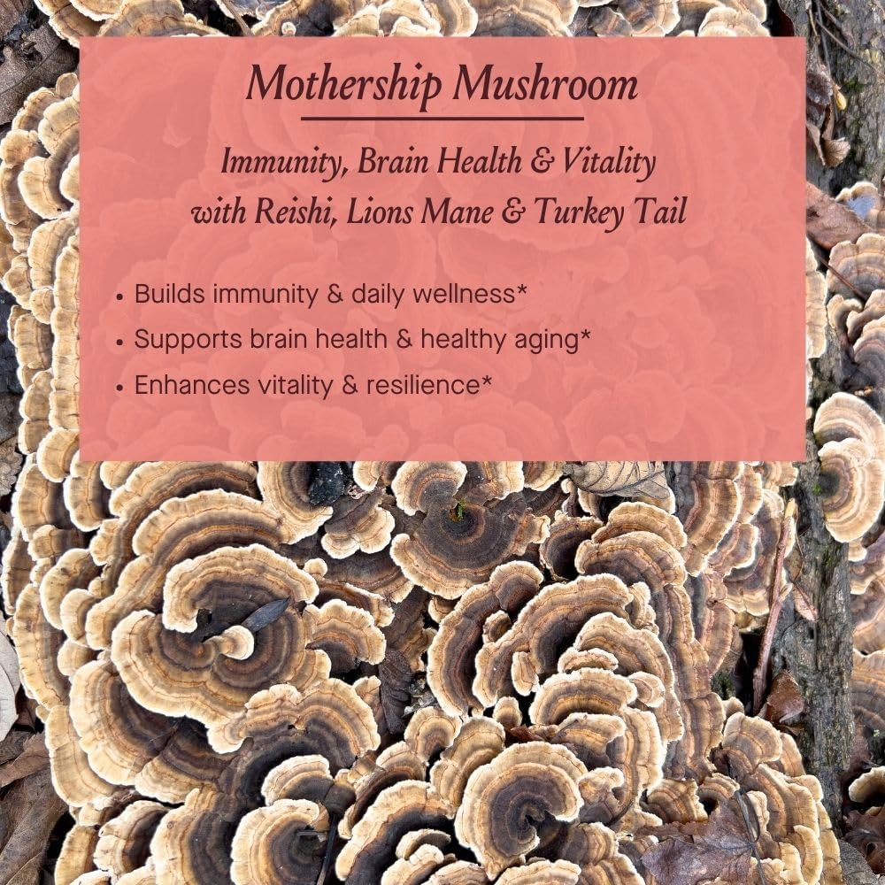 urban-moonshine-mothership-mushroom---he-3.jpg
