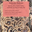 urban-moonshine-mothership-mushroom---he-3.jpg