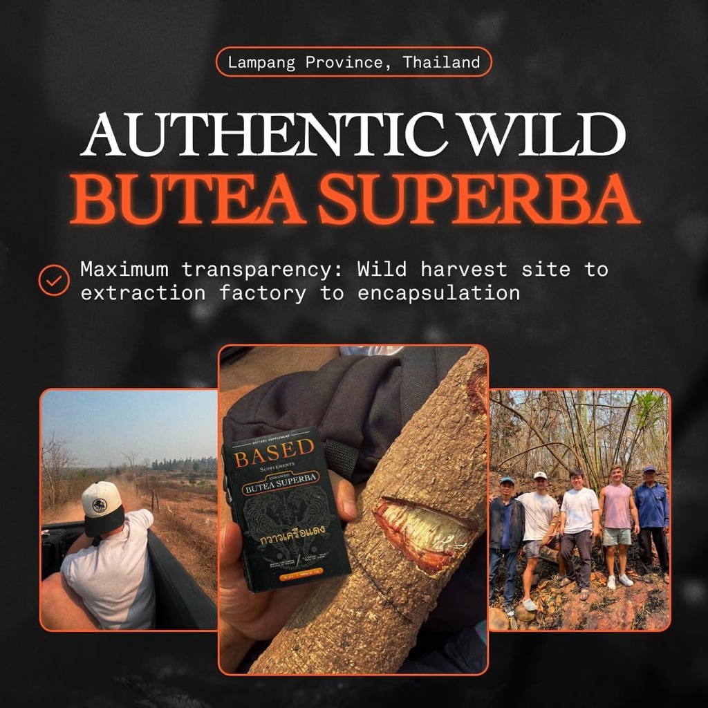 based-supplements-butea-superba-extract--2.jpg