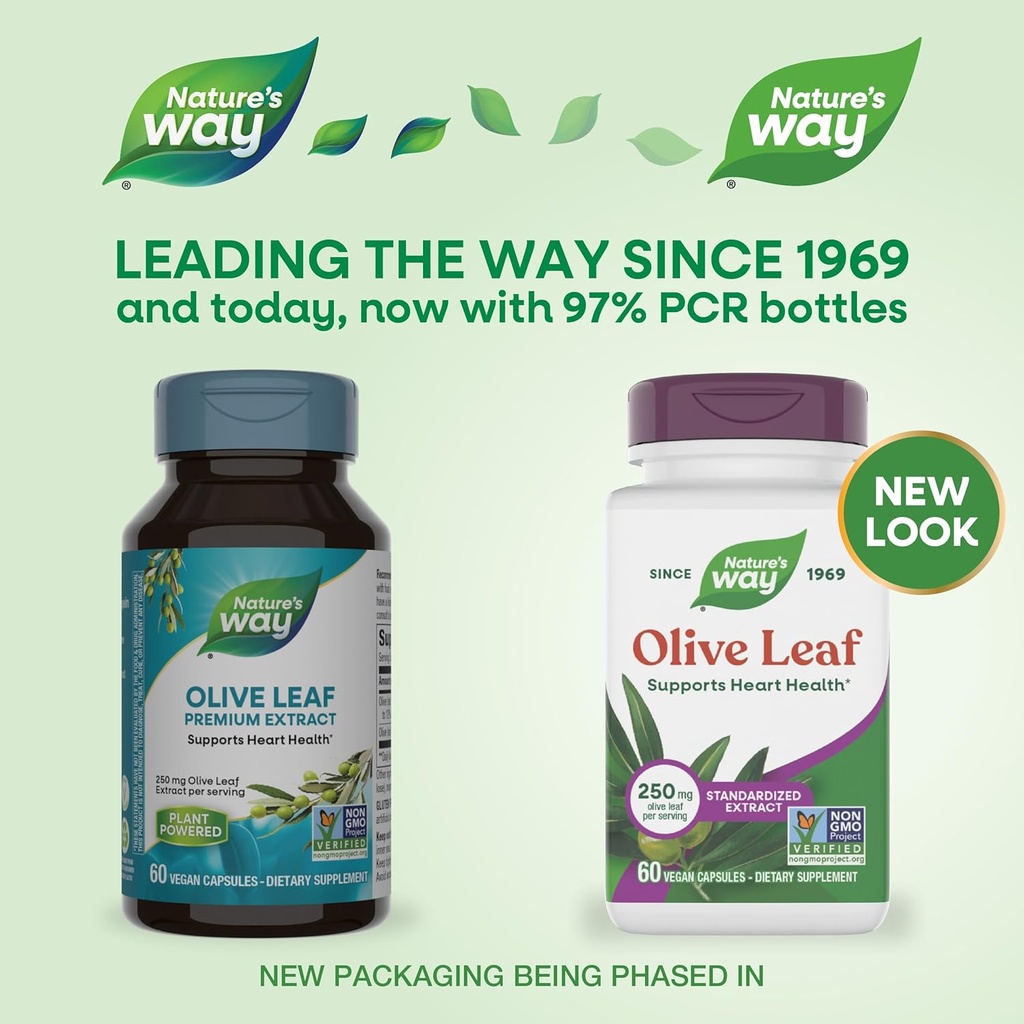 natures-way-olive-leaf-standardized-extr-2.jpg