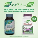 natures-way-olive-leaf-standardized-extr-2.jpg