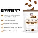 force-factor-modern-mushrooms-soft-chews-2.jpg