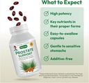 andrew-lessman-prostate-support-suppleme-4.jpg