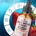 trueseamoss-irish-sea-moss-drops---5x-st-3.jpg