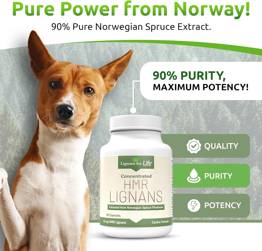 lignans-for-life-hmr-lignans-10mg-capsul-2.jpg