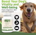 lignans-for-life-hmr-lignans-10mg-capsul-3.jpg