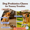 natural-dog-company-gut-health-canine-sp-2.jpg