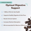 natural-dog-company-gut-health-canine-sp-3.jpg