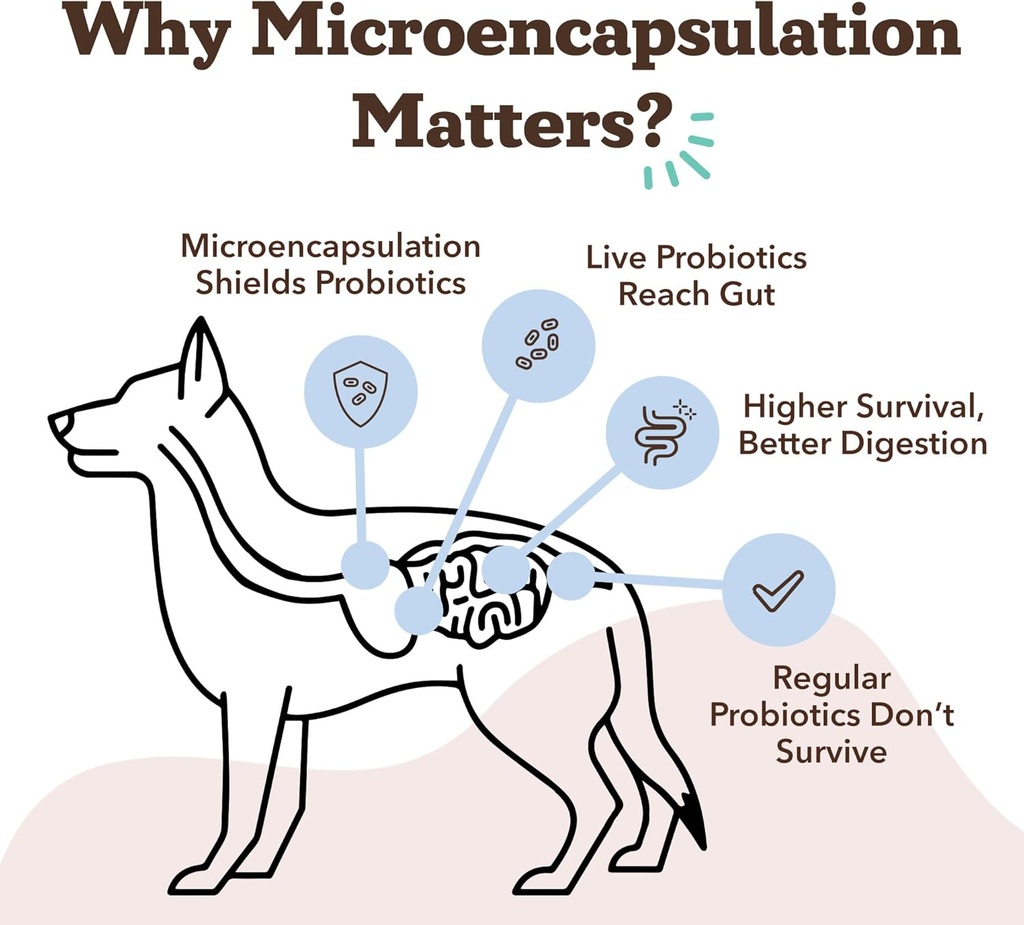natural-dog-company-gut-health-canine-sp-4.jpg