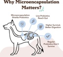 natural-dog-company-gut-health-canine-sp-4.jpg