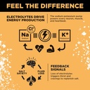 lmnt-zero-sugar-electrolytes---orange-sa-5.jpg