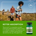 swanson-theracurmin---herbal-supplement--6.jpg
