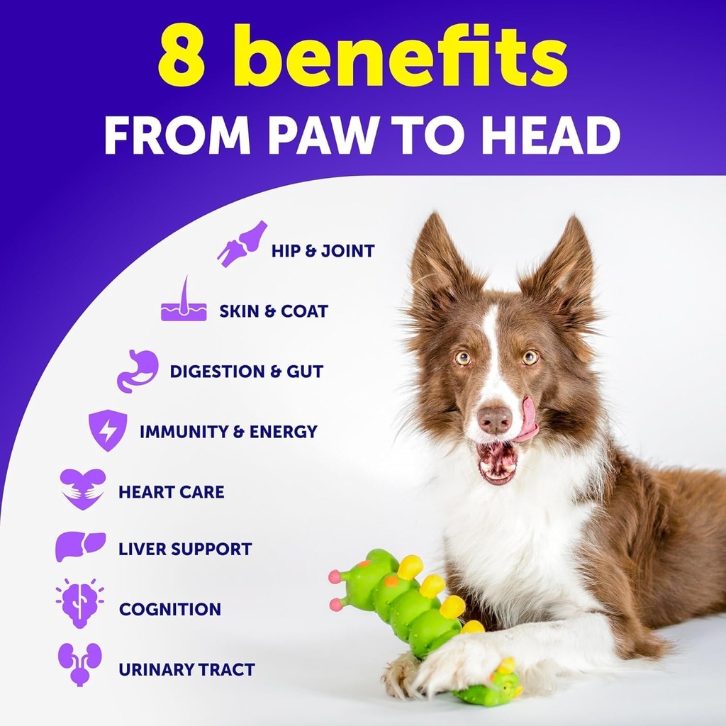dog-multivitamin-chewable-with-glucosami-4.jpg