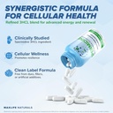 pure-spermidine-supplement-with-trihydro-4.jpg