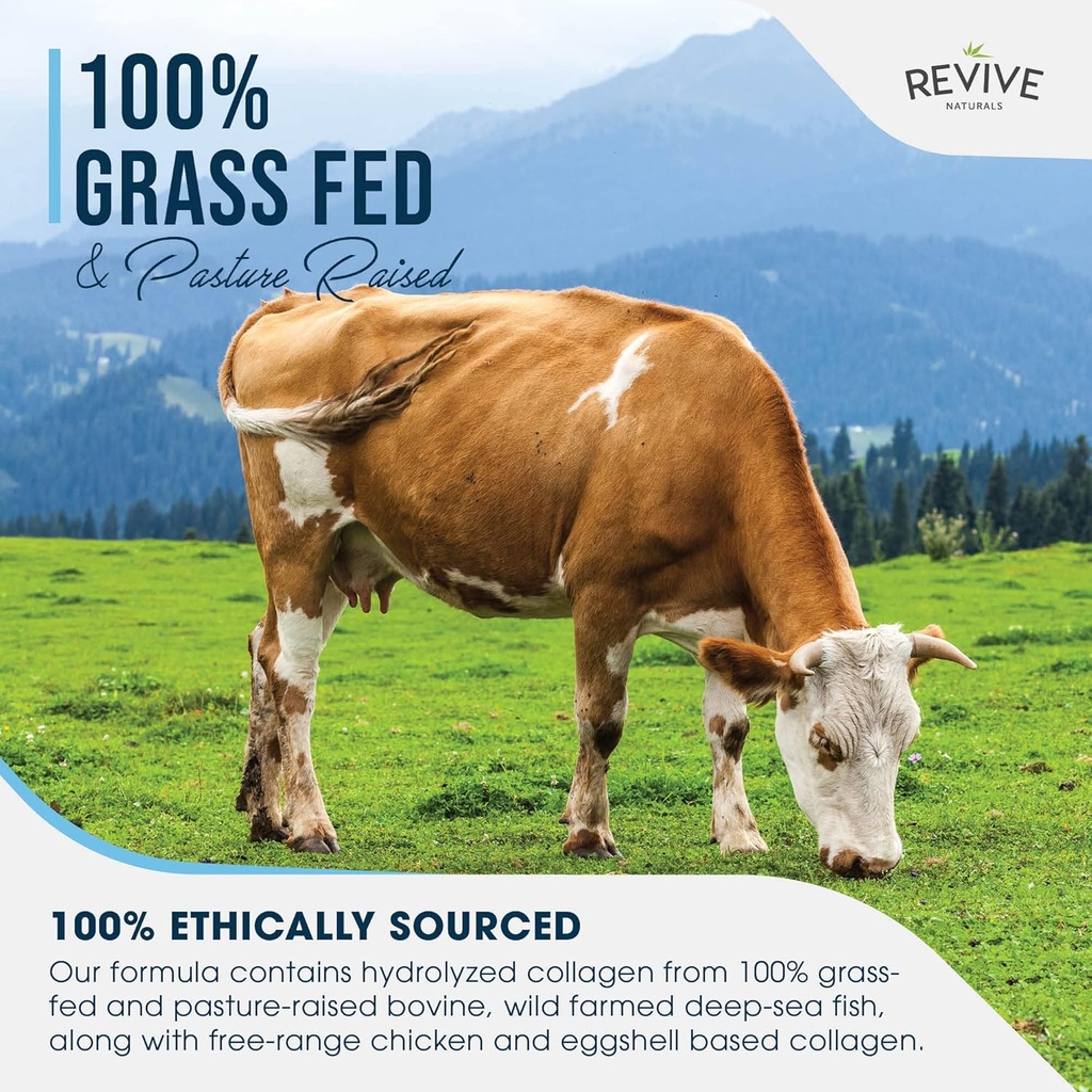 revive-naturals-multi-collagen-protein-c-4.jpg