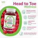 yum-vs-multivitamin-gummies-sugar-free-s-3.jpg