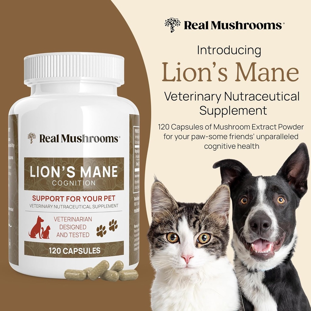 real-mushrooms-lions-mane-for-humans-60--6.jpg