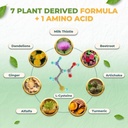 vital-liver-support---premium-liver-clea-5.jpg