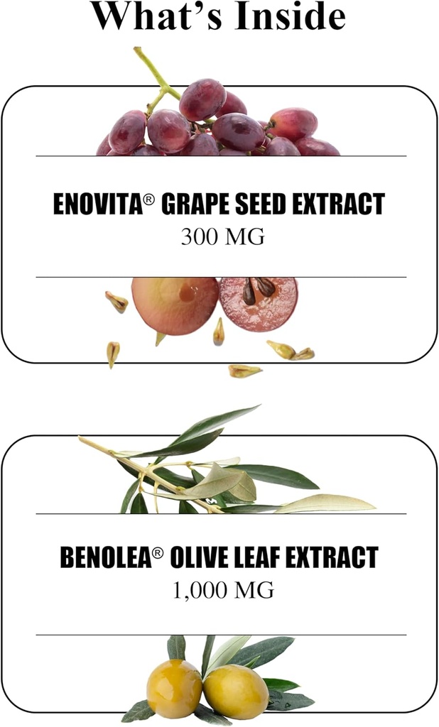 durable-blood-pressure-benolea-olive-lea-5.jpg