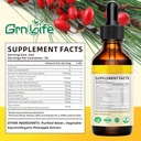 2-pack-berberine-supplement-1500mg-organ-2.jpg