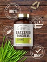 carlyle-grass-fed-beef-pancreas-550mg-20-5.jpg