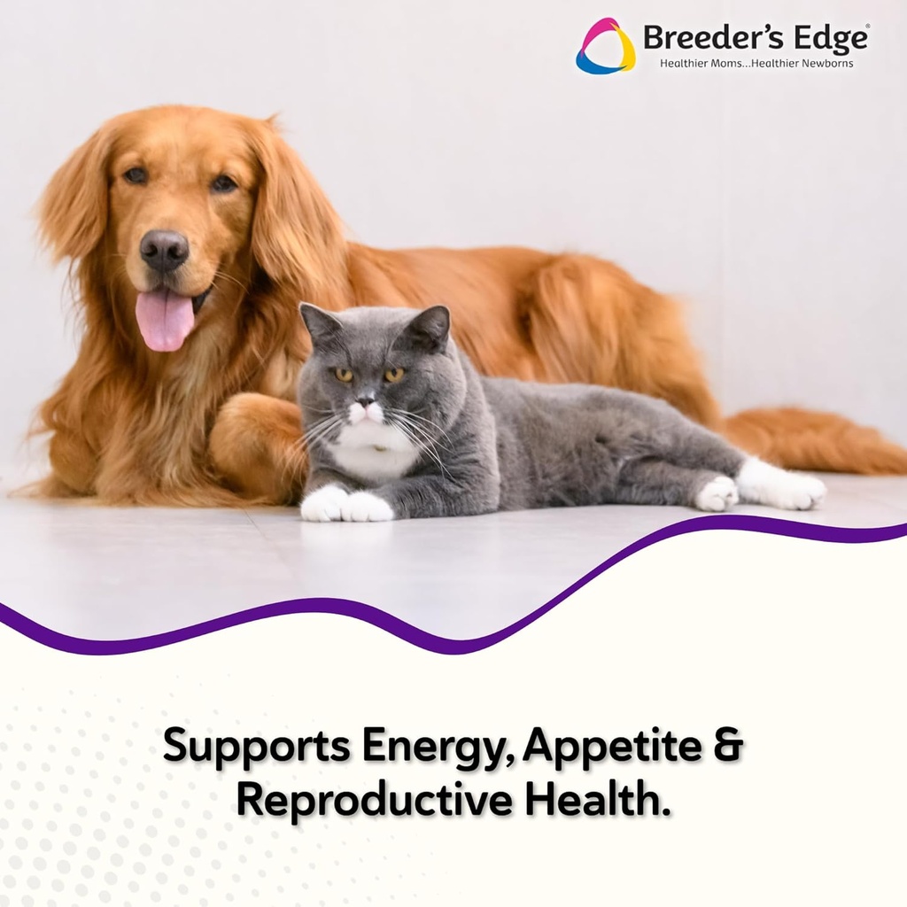 breeders-edge-b-strong-powder-b-complex--2.jpg