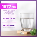 apple-cider-vinegar-capsules-1877mg---ex-5.jpg