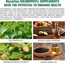 sugar-free-chlorophyll-gummies---with-un-2.jpg