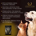 immune-support-for-cats-and-dogs---natur-2.jpg