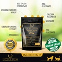 immune-support-for-cats-and-dogs---natur-3.jpg