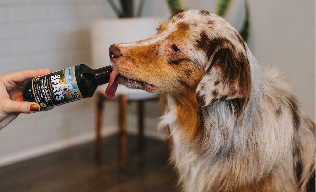 biologicvet---biofats-omega-3-6-9-fatty--4.jpg